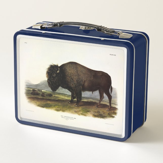 American Bison, or Buffalo (Bison bison) - Audubon Metal Lunch Box (Back)