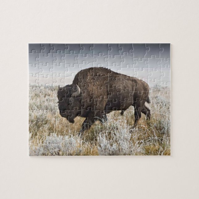 American Bison or Buffalo Jigsaw Puzzle (Horizontal)