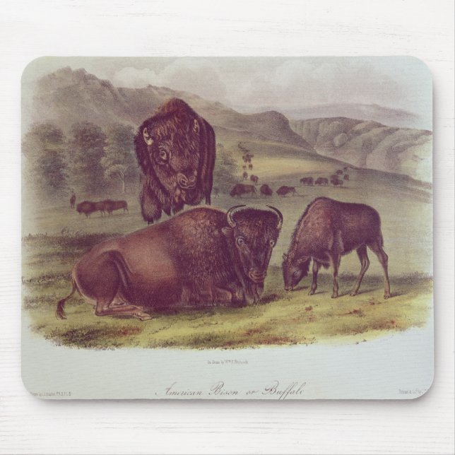 American Bison or Buffalo Mouse Mat (Front)