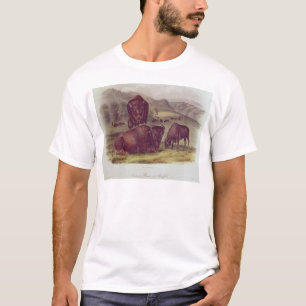 American Bison or Buffalo T-Shirt