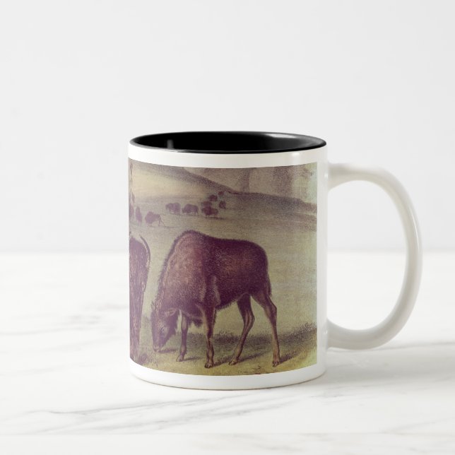 American Bison or Buffalo Two-Tone Coffee Mug (Right)