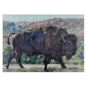 American Bison Roaming in Grassland Setting Cutting Board
