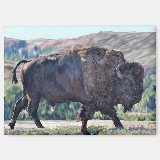 American Bison Roaming in Grassland Setting Magnet (Front)