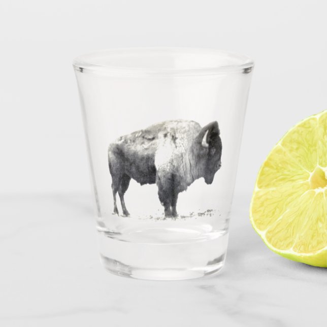 American Bison Shot Glass (Front)