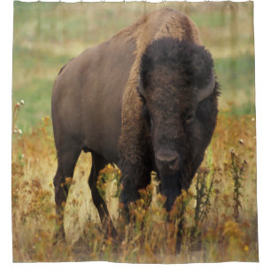 American Bison Shower Curtain