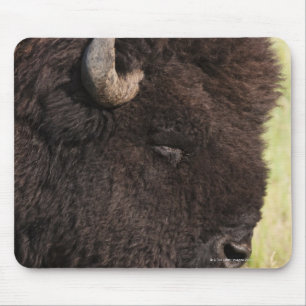 American Bison, South Dakota Mouse Mat