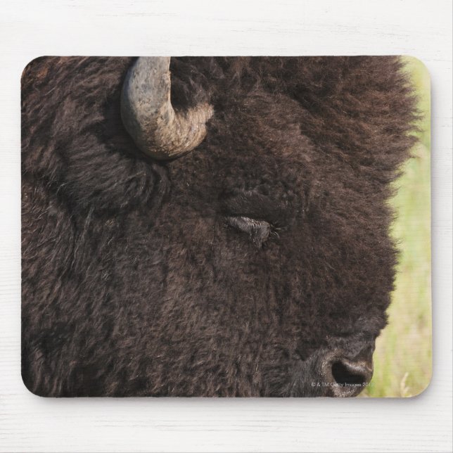 American Bison, South Dakota Mouse Mat (Front)