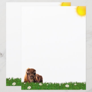 American Bison Stationery