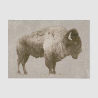 American Bison Tissue Paper
