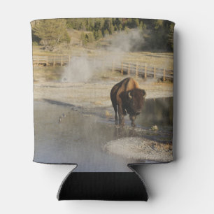 American Bison Yellowstone Wildlife Photography Can Cooler