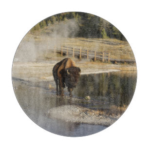 American Bison Yellowstone Wildlife Photography Cutting Board
