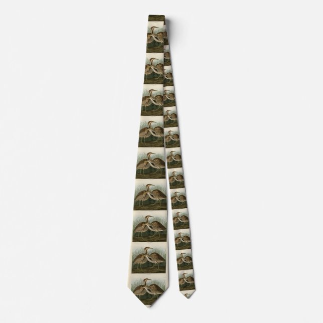 American Bittern - from Audubon's Birds of America Tie (Front)