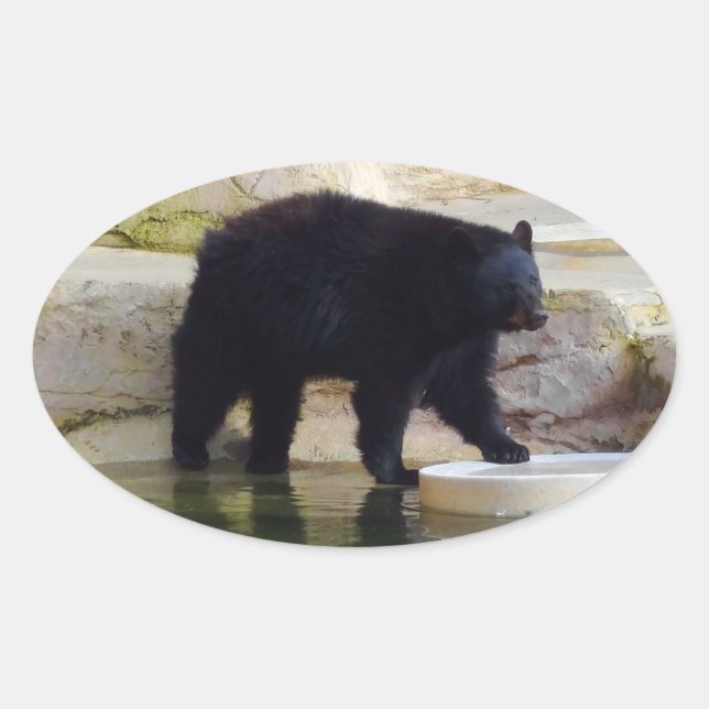 American Black Bear #1-2 Stickers (Front)