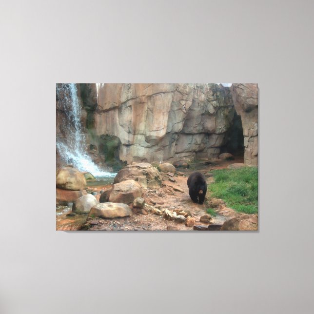 American Black Bear Canvas Print (Front)