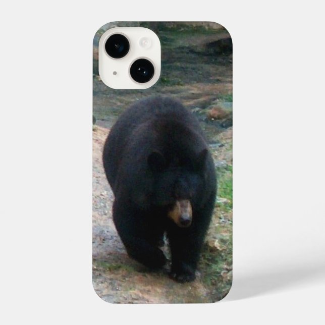 American Black Bear iPhone Case (Back)