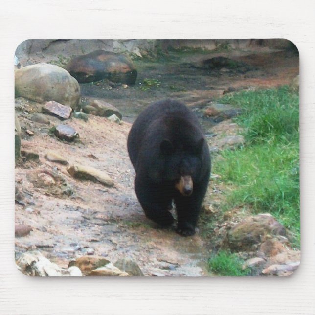 American Black Bear Mouse Mat (Front)