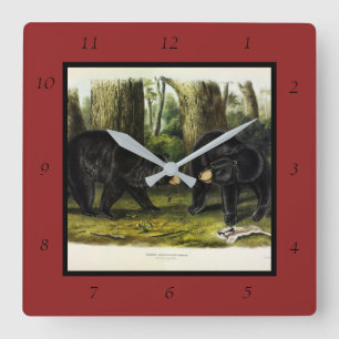 American Black Bear (Ursus Americanus) by Audubon Square Wall Clock