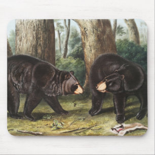 American Black Bear Ursus Americanus Illustration Mouse Mat