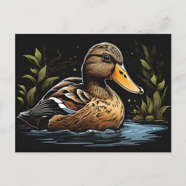 American black duck in water postcard (Front)