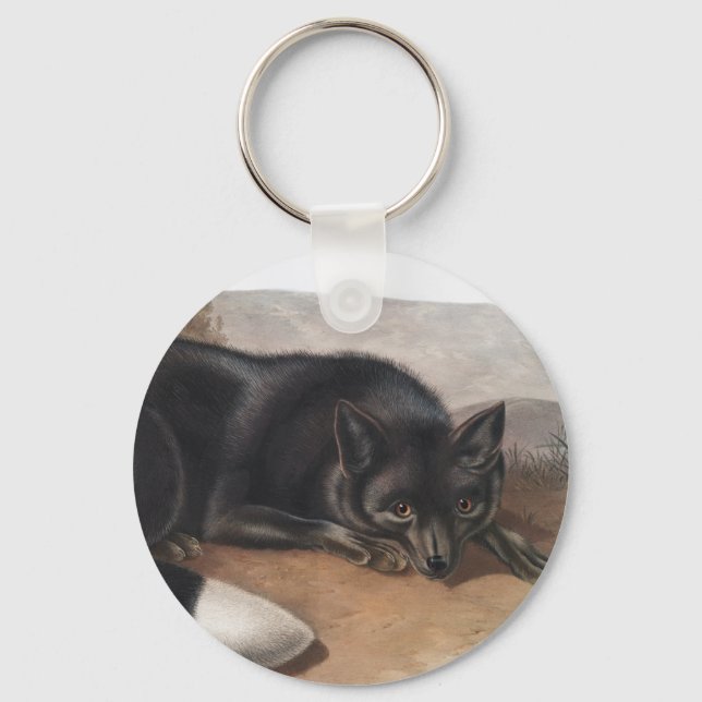 American Black or Silver Fox (Vulpes fulvus) Key Ring (Front)