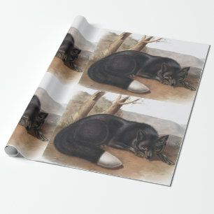 American Black or Silver Fox (Vulpes fulvus) Wrapping Paper