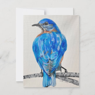 American Bluebird  Holiday Card