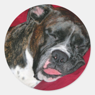 American Boxer Classic Round Sticker