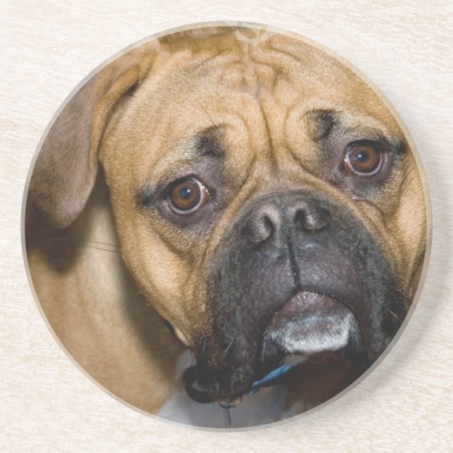 American Boxer Dog Coasters (Front)