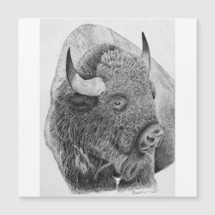 American Buffalo