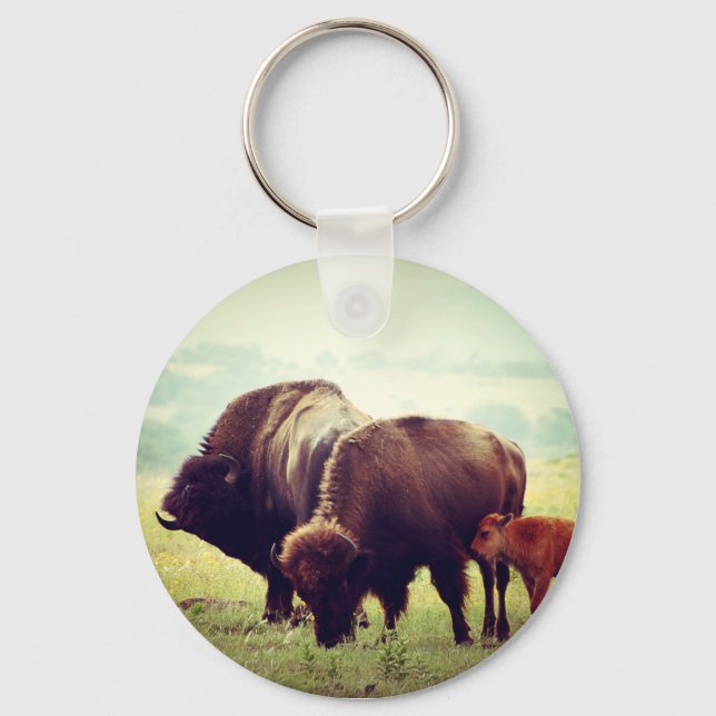 American Buffalo (Bison) Family  Key Ring (Front)