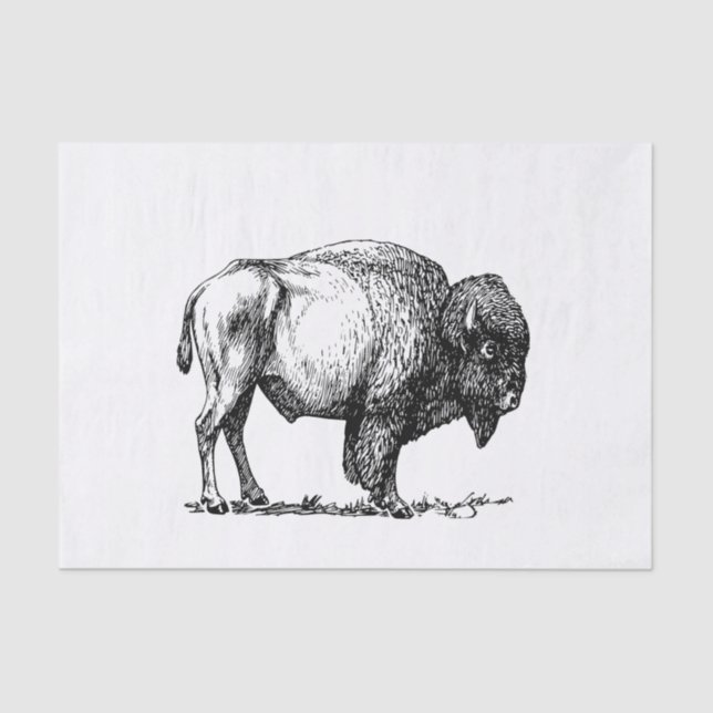 American Buffalo Bison Tissue Paper (Front)
