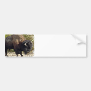 American Buffalo Bumper Sticker