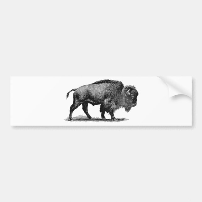 American Buffalo Bumper Sticker (Front)