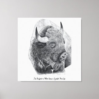 American Buffalo Canvas Print
