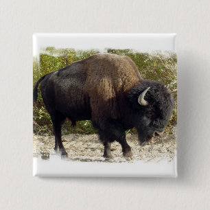 American Buffalo Square Pin