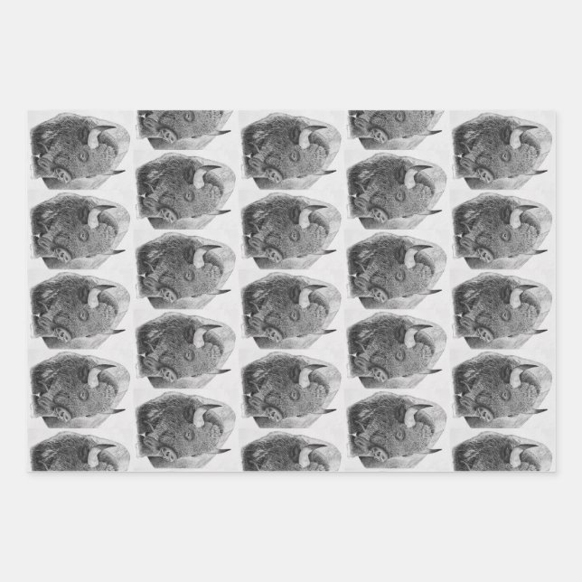 American Buffalo Wrapping Paper Sheet (Front)