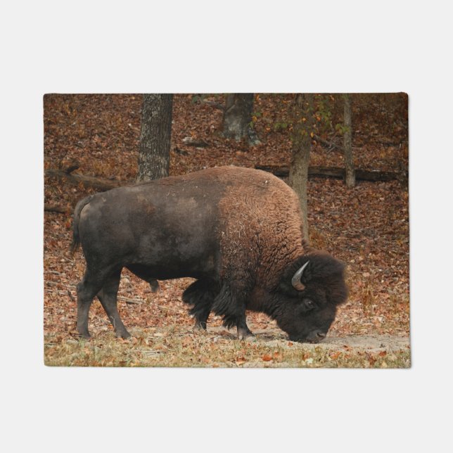 American Bull Bison Beautiful Beast Doormat (Front)