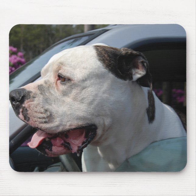 American Bull Dog Mouse Mat (Front)