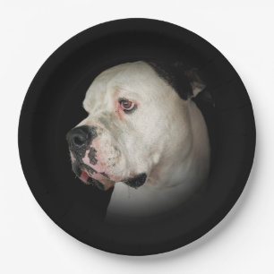 American Bull Dog Portrait Paper Plate