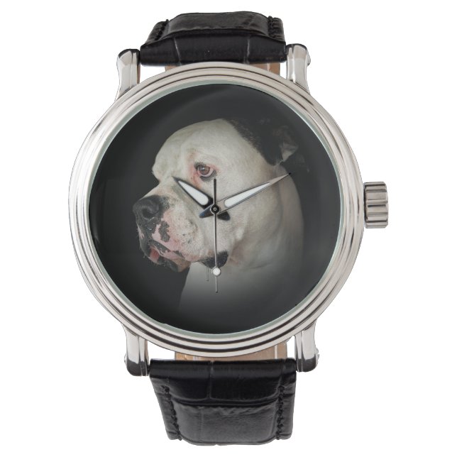 American Bull Dog Portrait Watch (Front)