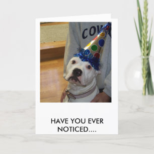 american bulldog birthday card