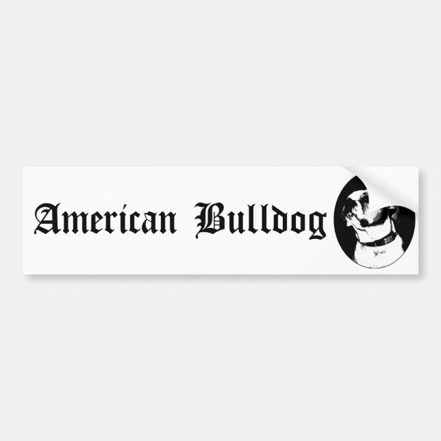 American bulldog bumpersticker bumper sticker (Front)