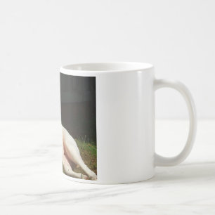 american bulldog coffee mug