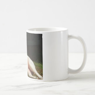 american bulldog coffee mug