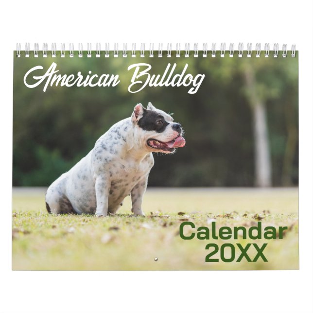 American Bulldog Dog calendar 2026 (Cover)