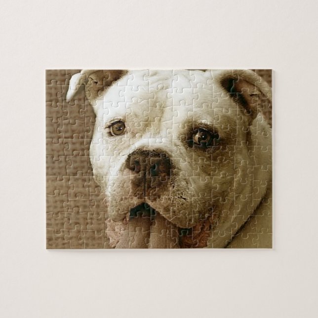 American Bulldog Dog Jigsaw puzzle (Horizontal)