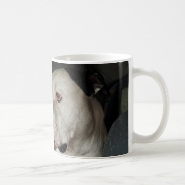 American Bulldog drooling Coffee Mug (Right)