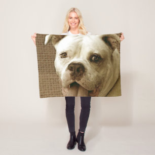 American Bulldog fleece blanket