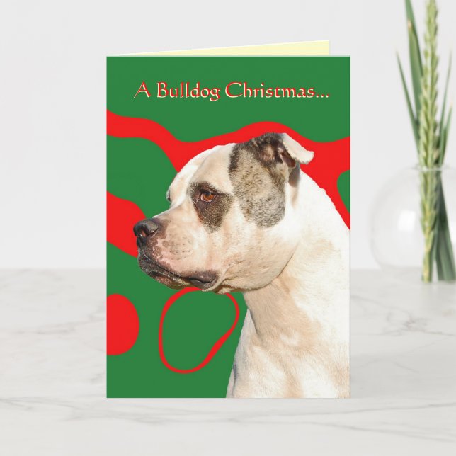 American Bulldog Holiday Card (Front)
