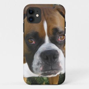 American Bulldog iPhone 5 Case